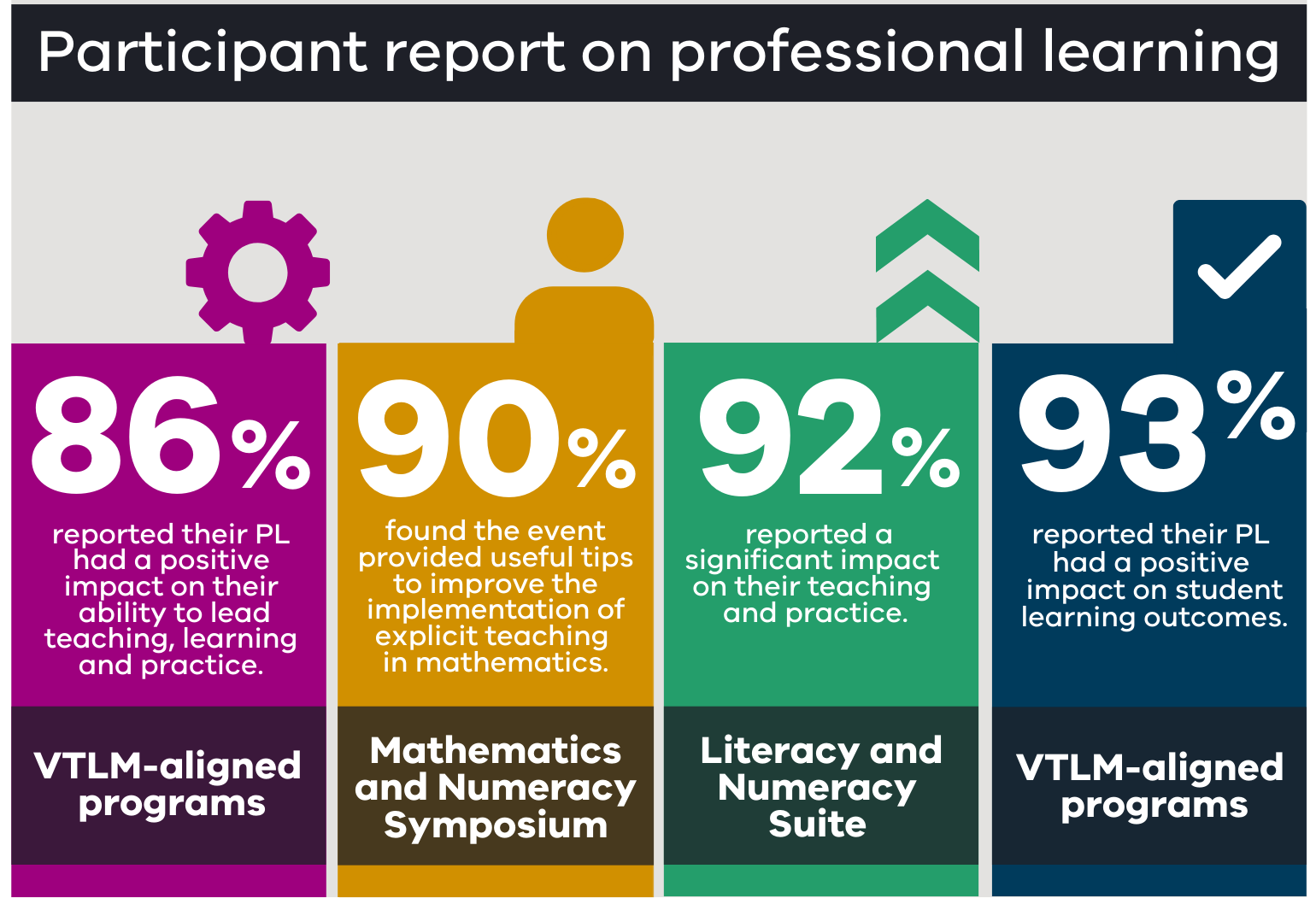 VTLM2.0 participation report on professional learning