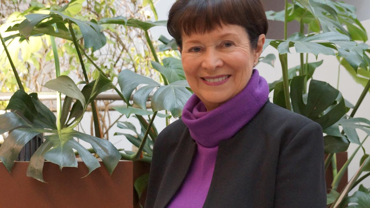 Clarity Learning Suite with Lyn Sharratt