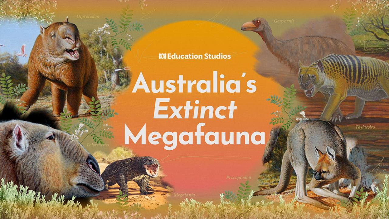 ABC Education Studios | Australia's Extinct Megafauna