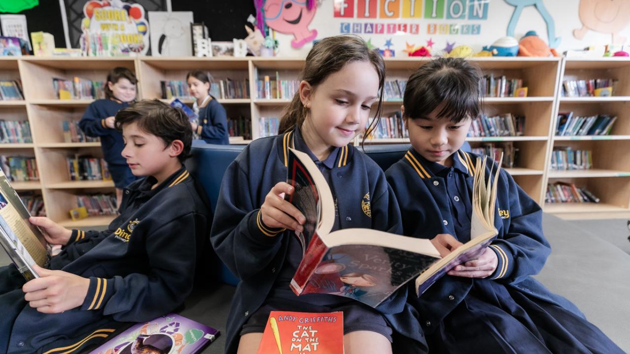 Primary school students are sitting and reading books in the library