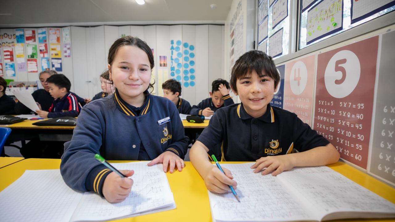Students learning in the primary school classroom