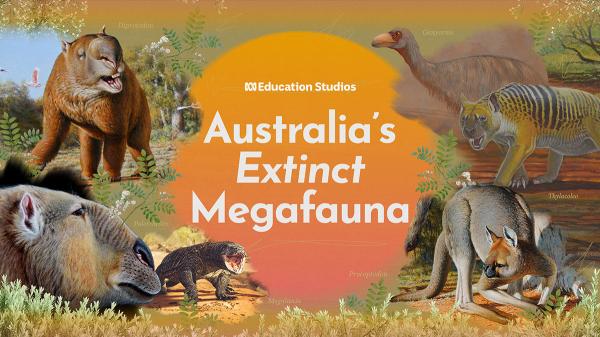 ABC Education Studios | Australia's Extinct Megafauna
