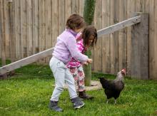 Two children chasing a chicken in a yard